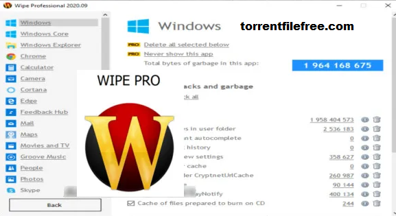 Wipe Pro key